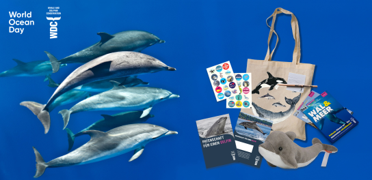 erlebe-haleon - 15x1 Delfin-Patenschaft + Sticker + Plüschdelfin + Stoffbeutel + WDC-Magazin 