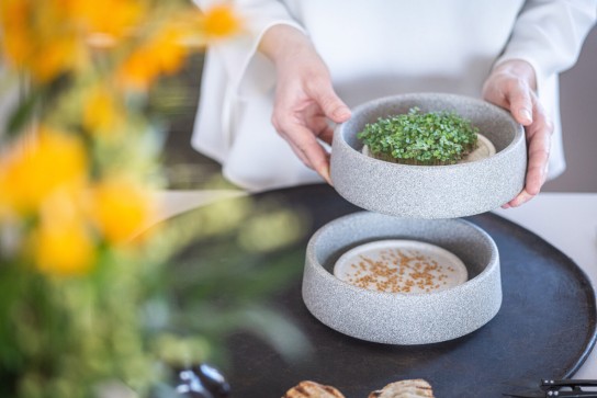 FamilyFlair - 1 x hochwertiges Mikrogarten-Set von Denk Keramik für frische Microgreens