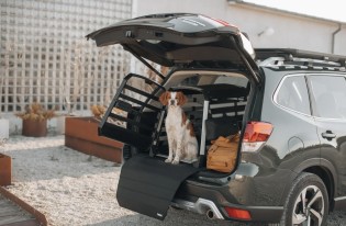 Frau im Leben - Eine Hundetransportbox von Thule