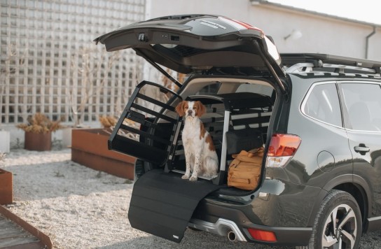 Frau im Leben - Eine Hundetransportbox von Thule