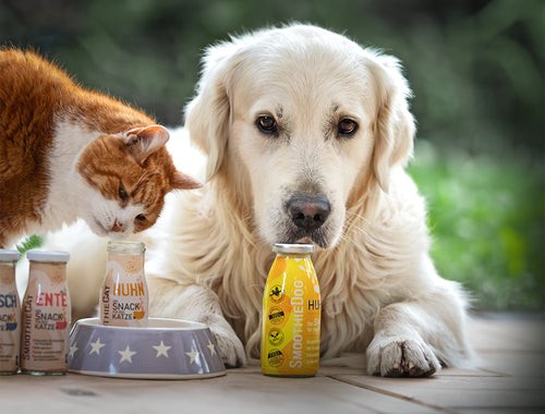 G.O.A.T. - einen 100€ SmoothieDog-Gutschein
