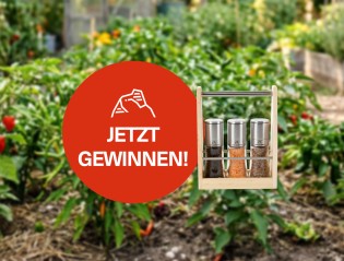 JULIBERG - Gastronomie Bio Menage 3 bestehend aus:  BIO Gourmetpfeffer – Design Premium Meersalz mit Bio Chili 7 – Design Premium Bergkernsalz – Design Premium Holztragerl 3 aus Erlenholz und Edelstahl im Wert von 79.30€