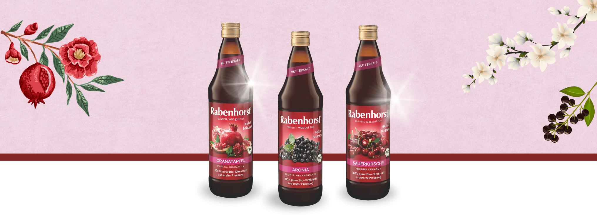 Reformhaus - 5 Muttersaft-Pakete mit jeweils 2 Flaschen von Rabenhorst