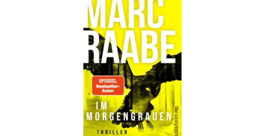Rosenheimer Schaufenster - Ein Exemplar des Buches „Im Morgengrauen“ – von Max Raabe
