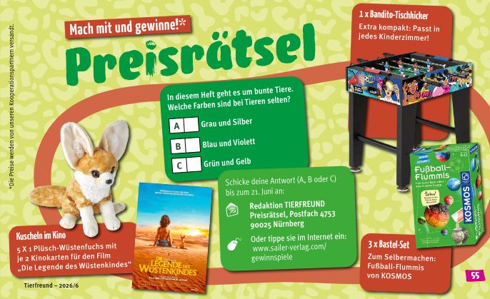 Sailer Verlag - 5 x 1 Plüsch-Wüstenfuchs + 2 Kinokarten für "Die Legende des Wüstenkindes" | 1 x Bandito-Tischkicker | 3 x 1 Bastel-Set "Fußball-Flummis" von KOSMOS