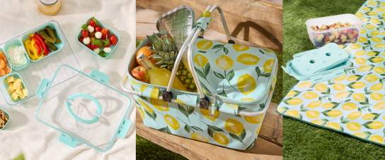 Tchibo - XL-Picknickdecke, Vorratsdose mit Kühlelement, Snacktray und Kühlkorb