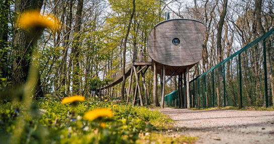 Tree Inn - eine Auszeit für 2 Personen in einem Baumh – inklusive Frühstück, Eintritt in das Wolfcenter, Heiß- und Kaltgetränke im Baumhaus u.v.m.( 27313 Dörverden )