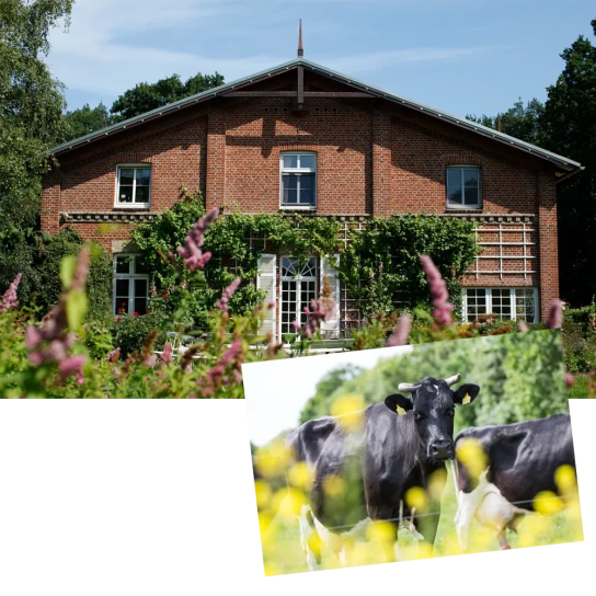 Voelkel - Eine Woche Urlaub für bis zu 5 Personen auf dem Hof Klostersee, Eines von 20 Probier-Paketen der teilnehmenden Marken Allos, Bauck, Holle, Gläserne Molkerei und Voelkel