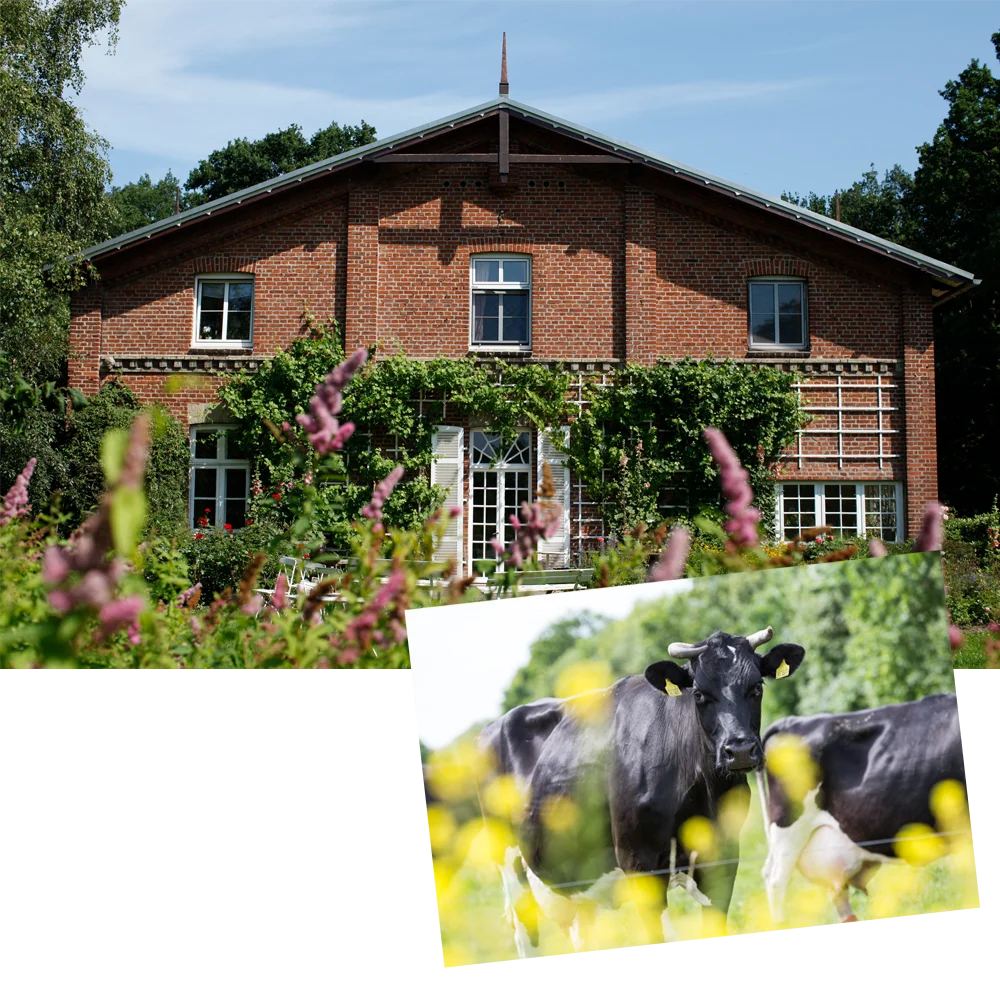 Voelkel - Eine Woche Urlaub für bis zu 5 Personen auf dem Hof Klostersee, Eines von 20 Probier-Paketen der teilnehmenden Marken Allos, Bauck, Holle, Gläserne Molkerei und Voelkel