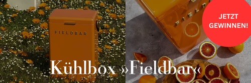 Zeitverlag - FIELDBAR Drinks Box in der Farbe Orange