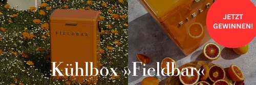 Zeitverlag - FIELDBAR Drinks Box in der Farbe Orange