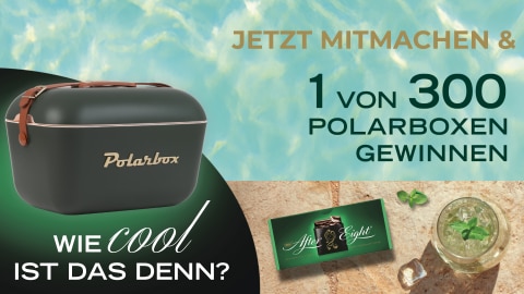 After Eight - 1 von 300 Polarboxen in der Farbe Green forest