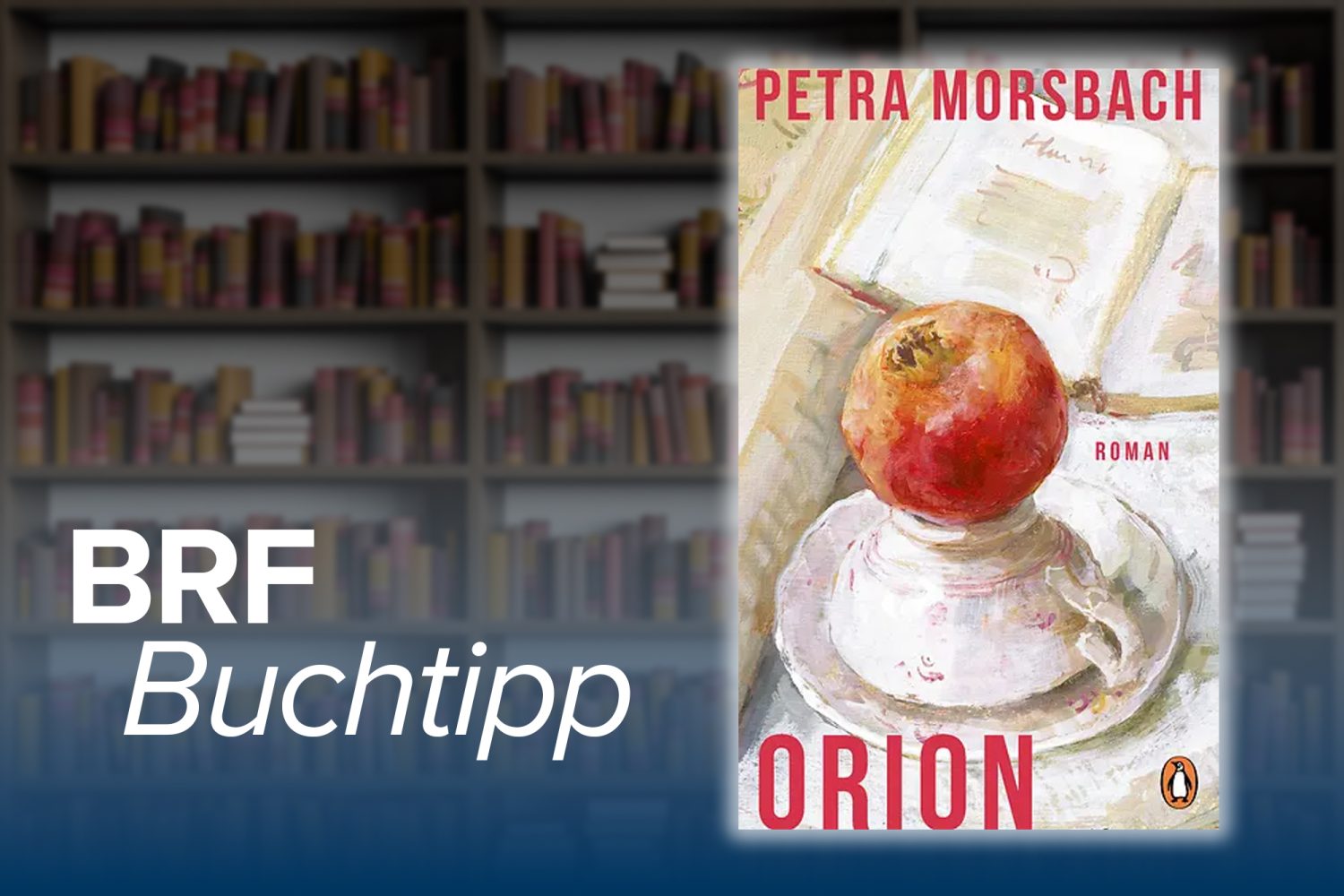 BRF1 - 1 x Buch "Orion" von Petra Morsbach