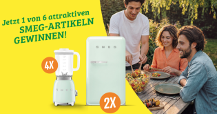 Combi - 2 x SMEG-Kühlschrank / 4 x SMEG-Standmixer