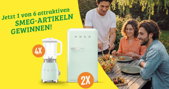 Combi - 2 x SMEG-Kühlschrank / 4 x SMEG-Standmixer