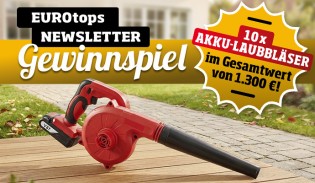 EUROtops - 10x 1 Akku-Laubbläser im Gesamtwert von rund 1.300 €