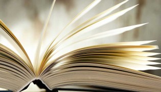 falkemedia - ein Buch ( nach Wahl)