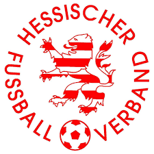 Hessischer Fußball Verband - für Kinder-Fußball in Hessen—Kindertrainerzertifikat, 2×4 Mini-Tore,, Ausrüstungen fürs Koordinationstraining, original Derbystar-Bälle