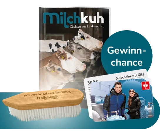 Milchkuh - Einen 500 € Einkaufsgutschein von STRAUSS
