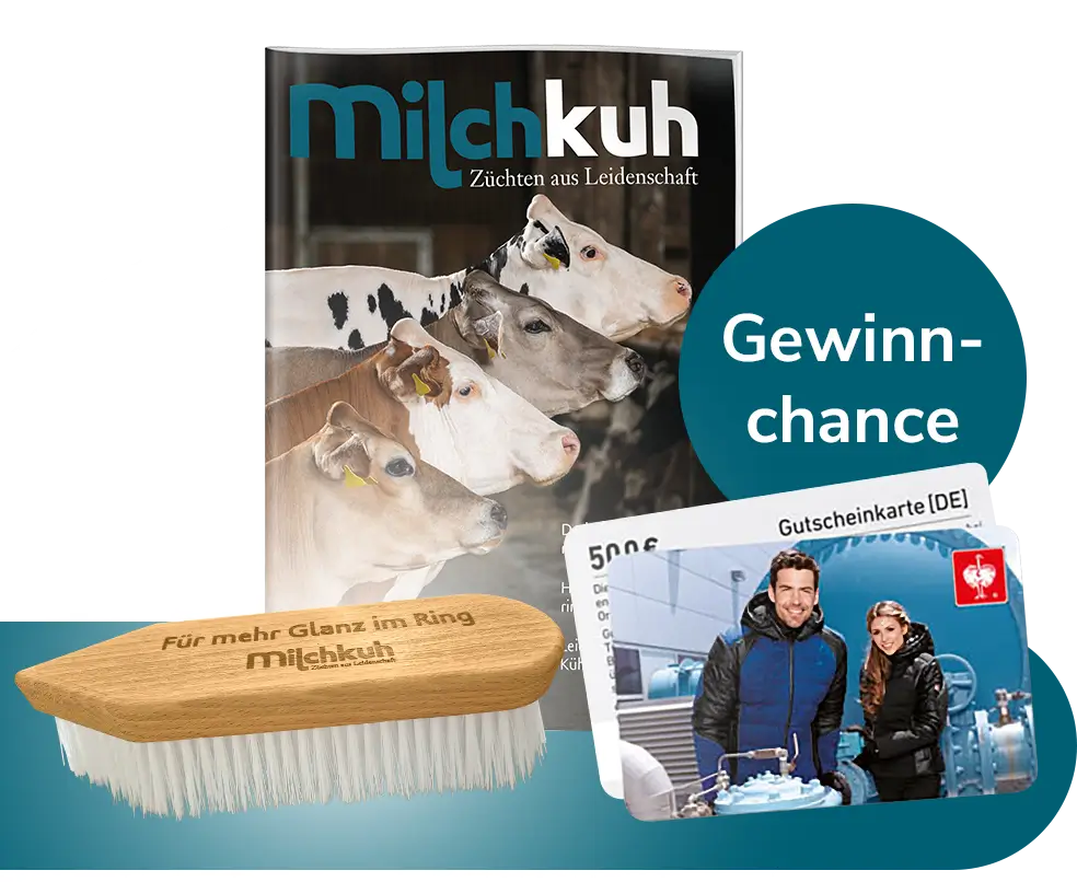 Milchkuh - Einen 500 € Einkaufsgutschein von STRAUSS