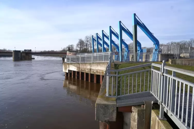 Rheinpfalz - Faltrucksack