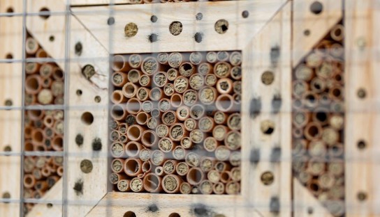 TEAG - 25x1 hochwertiges Insektenhotel der Stiftung Finneck an Thüringer Kindertagesstätten