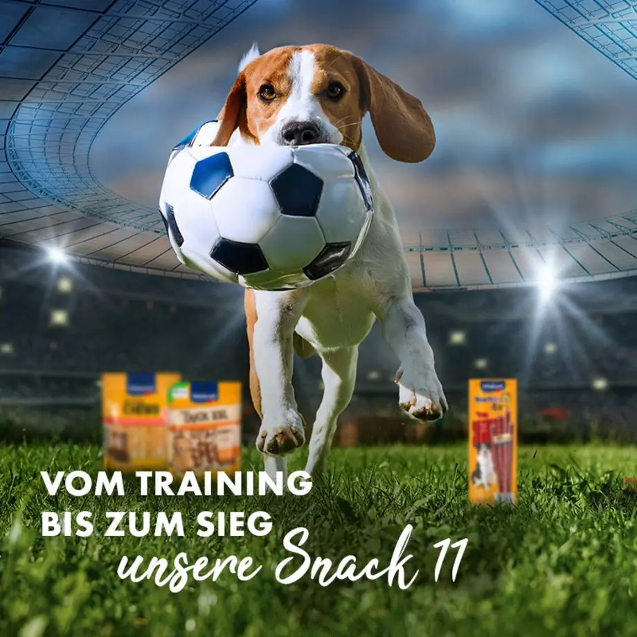 Vitakraft - 1.000 Fan-Pakete im Deutschland-Design