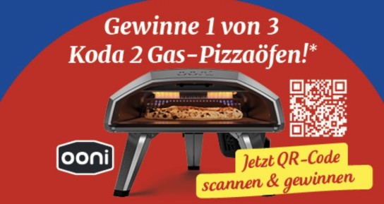 WASGAU - 3 Koda 2 Gas-Pizzaöfen