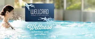 Die moderne Hausfrau - 1x WellCard Thermen & Hotelgutschein im Wert von € 500,-