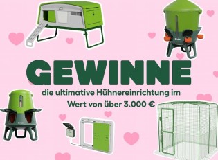 Omlet - Gewinnpaket für die Hühnerhaltung im Wert von über 3.000 €