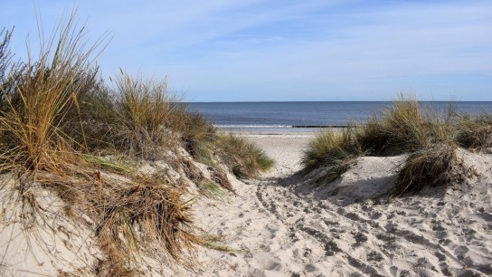 Ostsee Zeitung - einen 10-€-Gutschein für Amazon