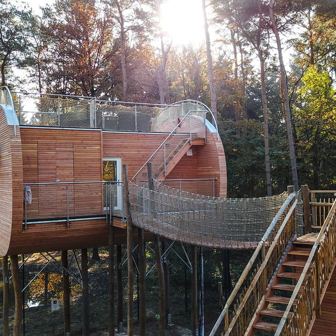 Reiseland Niedersachsen - Eine exklusive Übernachtung für 2 Personen im Wald von Dörverden - im Tree Inn, inkl. Frühstück, Picknick, Parkeintritt etc
