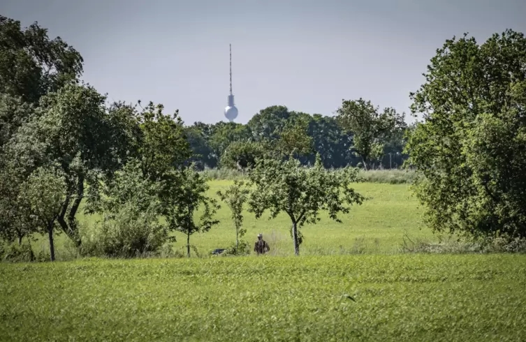 Rheinpfalz - Einen Faltrucksack