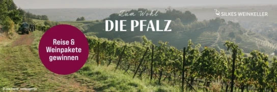 Silkes Weinkeller - 1. Preis: 2 Übernachtungen für 2 Personen im VINOTEL Schreieck (Pfalz) inkl. Weinprobe. 2.–6. Preis: Je ein „Pfalz Entdecker-Weinpaket“ mit 6 Flaschen hochwertigem Pfälzer Wein