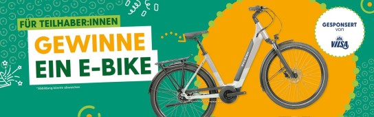 Tante Enso - hochwertiges E-Bike von Raleigh im Wert von 2.700 € - Herrenrad  (für Tante Enso Teilhaber + Abholung)