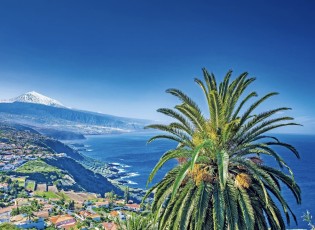 Agentur Beziehungsweise - 8-tägige trendtours Erholungsreise nach Teneriffa für 2 Personen – inklusive Hin- und Rückflug, Unterbringung in einem 4-Sterne-Hotel in Puerto de la Cruz und einem Ausflug in die Inselhauptstadt Santa Cruz