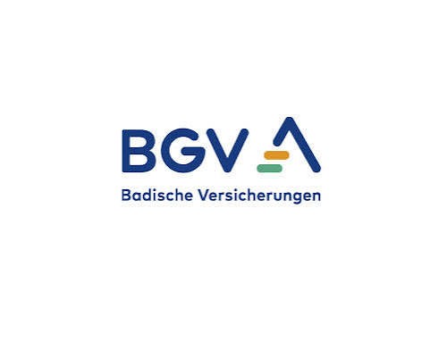 BGV-Versicherung - Fußball-Einlaufkind für ein Heimspiel des Karlsruher SC Saison 2036/27 + Einlauftrikot + Eintrittskarte für dich und ein Elternteil