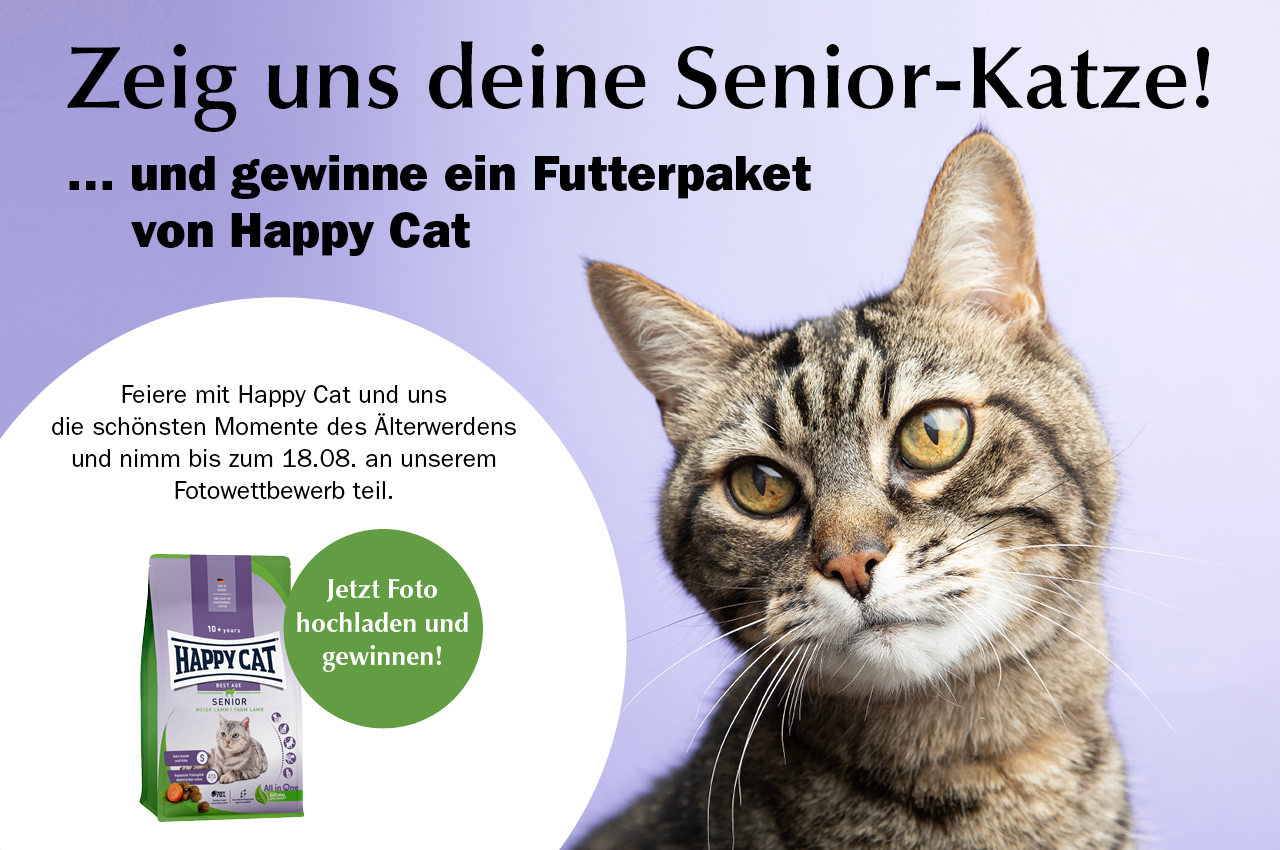 Ein Herz für Tiere - 3 x 1,3 kg Happy Cat Senior Weide-Lamm