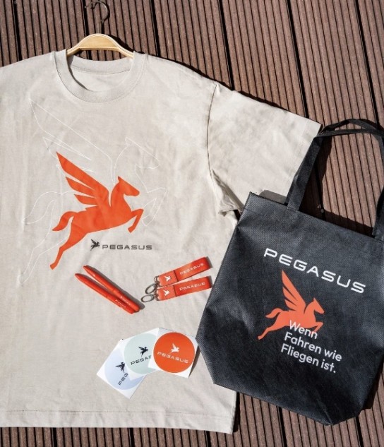 Pegasus - Drei PEGASUS Goodiebags. In jedem steckt ein hochwertiges Shirt aus Bio-Baumwolle, eine Sattel- und Tragetasche sowie ein paar Goodies