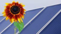 Rundfunk Berlin-Brandenburg (rbb) - Balkonkraftwerk “PriBalcony Quattro” für unterschiedliche Montageorte der Firma “priwatt”