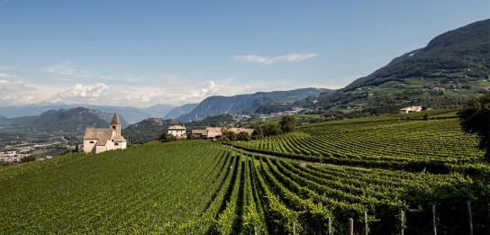 VINUM - Drei Flaschen Wein, die von der VINUM-Redaktion ausgesucht wurden