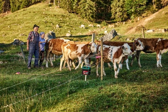 Wildes Bayern - Ein Exemplar des Fotobuchs „Bergbauern“ sowie 2 * 2 Eintrittskarten in die Ausstellung von Klaus Maria Einwanger „Bergbauern erleben“ in München