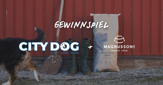 1. Preis: 10x Magnusson-Futterpakete: Ein Karton Nassfutter (dampfgegart) sowie Trockenfutter nach Wahl. 2. Preis: 3x Vetbeds - Gemütliche Liegeplätze für die perfekte Entspannung deines Hundes.