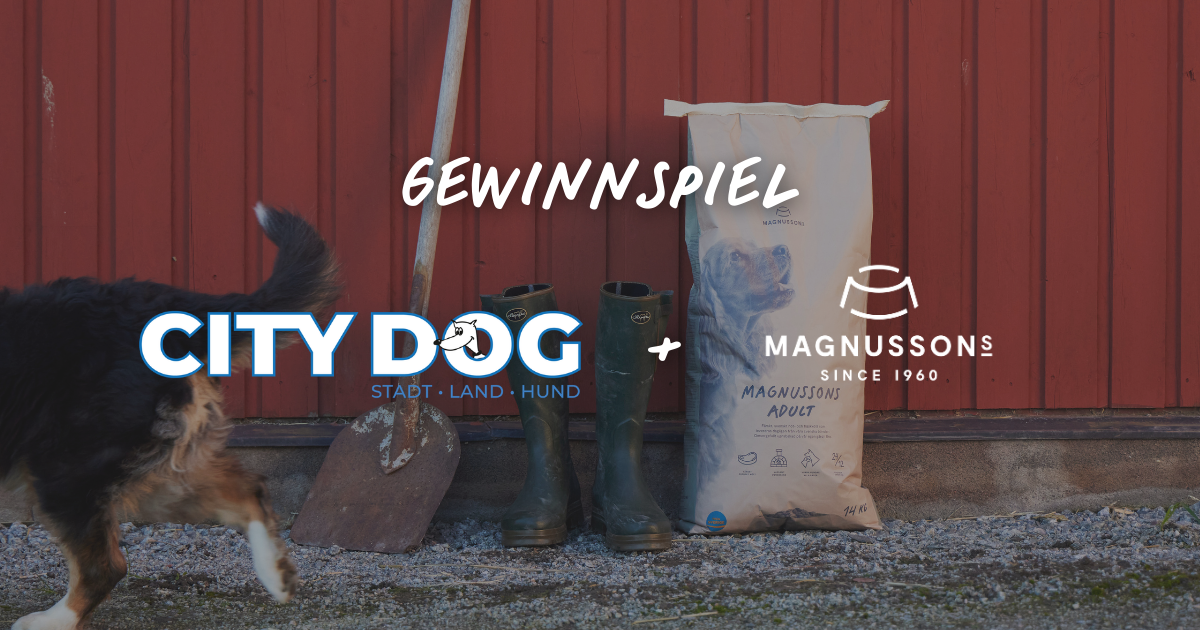 1. Preis: 10x Magnusson-Futterpakete: Ein Karton Nassfutter (dampfgegart) sowie Trockenfutter nach Wahl. 2. Preis: 3x Vetbeds - Gemütliche Liegeplätze für die perfekte Entspannung deines Hundes.