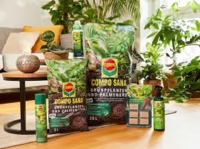 Compo - 3x1 hochwertiges Gärtner-Überraschungspaket im Wert von je ca. 100€ für Zimmerpflanzen, Rasen, Obst-Gemüsepflanzen, Garten