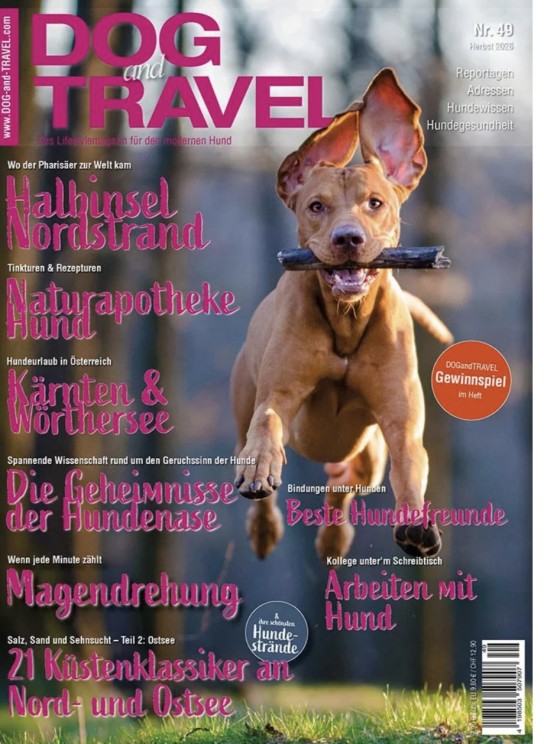 Dog and Travel - 1x Camping-Paket von Trixie - Pop-up-Hundezelt in Olivgrün (100 x 80 x 100cm) - Camping-Bett -- Reisedecke Samoa - Napf - Wasserflasche