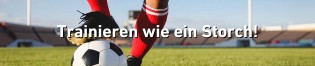 Kieler Nachrichten - Fußball-Trainingscamp für dein Kind zwischen 7 und 13 Jahren bei Holstein Kiel am 9. Spieltag von  Holstein Kiel gegen SG Dynamo Dresden