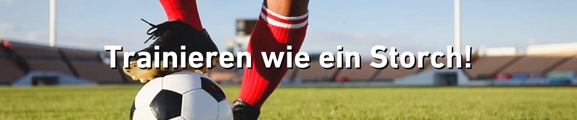 Kieler Nachrichten - Fußball-Trainingscamp für dein Kind zwischen 7 und 13 Jahren bei Holstein Kiel am 9. Spieltag von  Holstein Kiel gegen SG Dynamo Dresden