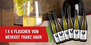 Markgrafen Getränkevertrieb - 1x 6 Flaschen vom Weingut Franz Hahn