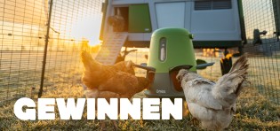Omlet - Ein Omlets Eglu Pro Hühnerstall mit 3-m-Auslauf, Omets Intelligenter No-Waste-Futterautomat und Omlets Isolierter Wasserspender im Wert von über 3.000€